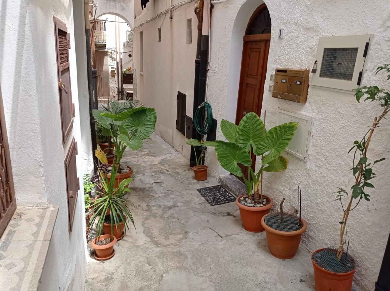 Cortile Maggiore Home Cefalú Exterior foto